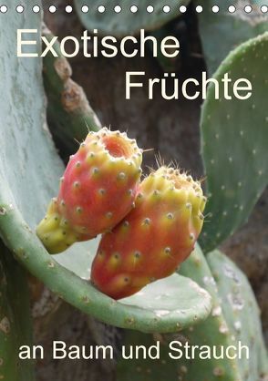 Exotische Früchte an Baum und Strauch (Tischkalender 2018 DIN A5 hoch) von Goldscheider,  Stefanie