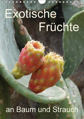 Exotische Früchte an Baum und Strauch (Wandkalender 2018 DIN A4 hoch) von Goldscheider,  Stefanie