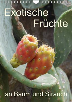 Exotische Früchte an Baum und Strauch (Wandkalender 2023 DIN A4 hoch) von Goldscheider,  Stefanie