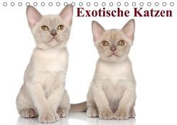 Exotische Katzen / Geburtstagskalender (Tischkalender immerwährend DIN A5 quer) von Stanzer,  Elisabeth