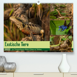 Exotische Tiere im Tropenhaus Klein Eden in Tettau (Premium, hochwertiger DIN A2 Wandkalender 2022, Kunstdruck in Hochglanz) von HeschFoto