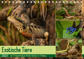 Exotische Tiere im Tropenhaus Klein Eden in Tettau (Tischkalender 2021 DIN A5 quer) von HeschFoto