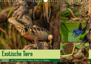 Exotische Tiere im Tropenhaus Klein Eden in Tettau (Wandkalender 2022 DIN A3 quer) von HeschFoto