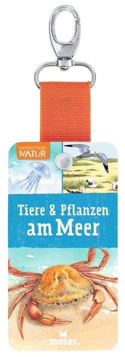 Expedition Natur – Fächer Tiere & Pflanzen am Meer von Kolb,  Arno, Mueller,  Thomas, Oftring,  Bärbel