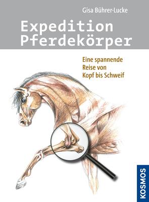 Expedition Pferdekörper von Bührer-Lucke,  Gisa