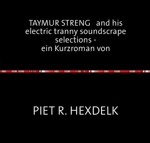 Experimentelle Kurzromane von Piet R.Hexdelk / TAYMUR STRENG and his electric tranny soundscrape selections – ein Kurzroman von von Hexdelk,  Piet R., Heydecke,  Martin