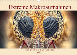 Extreme Makroaufnahmen – Insekten so nah wie nie (Wandkalender 2022 DIN A3 quer) von Ferdigrafie