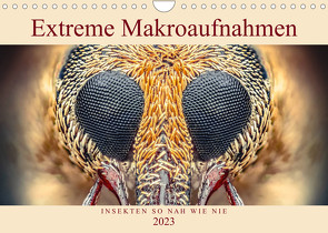 Extreme Makroaufnahmen – Insekten so nah wie nie (Wandkalender 2023 DIN A4 quer) von Ferdigrafie