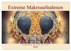 Extreme Makroaufnahmen – Insekten so nah wie nie (Wandkalender 2024 DIN A3 quer), CALVENDO Monatskalender von Ferdigrafie,  Ferdigrafie