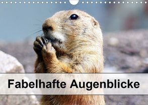 Fabelhafte Augenblicke (Wandkalender 2020 DIN A4 quer) von l e s . P h o t o . A r t,  Y