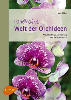 Fabelhafte Welt der Orchideen von Röllke,  Lutz