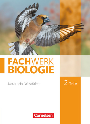 Fachwerk Biologie – Nordrhein-Westfalen 2013 – Band 2 – Teil A von Hampl,  Udo, Janik,  Kathrin, Marquarth,  Andreas, Oberschelp,  Katrin, Pohlmann,  Anke, Pondorf,  Peter, Ritter,  Matthias, Schulte,  Alexandra, Stelzig,  Ingmar, Tegtmeyer,  Ulrike, Wachs,  Steffen, Zitzmann,  Josef Johannes