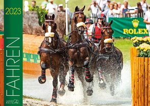 Fahren 2023 von Boiselle,  Gabriele