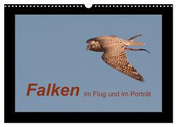 Falken im Flug und im Porträt (Wandkalender 2024 DIN A3 quer), CALVENDO Monatskalender von Gasteiger,  Karolina