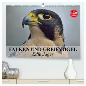 Falken und Greifvögel – Edle Jäger (hochwertiger Premium Wandkalender 2024 DIN A2 quer), Kunstdruck in Hochglanz von Stanzer,  Elisabeth