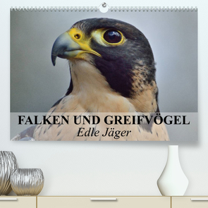 Falken und Greifvögel. Edle Jäger (Premium, hochwertiger DIN A2 Wandkalender 2023, Kunstdruck in Hochglanz) von Stanzer,  Elisabeth