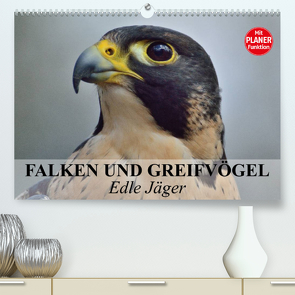 Falken und Greifvögel – Edle Jäger (Premium, hochwertiger DIN A2 Wandkalender 2023, Kunstdruck in Hochglanz) von Stanzer,  Elisabeth