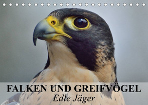 Falken und Greifvögel. Edle Jäger (Tischkalender 2023 DIN A5 quer) von Stanzer,  Elisabeth