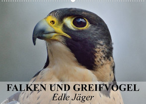 Falken und Greifvögel. Edle Jäger (Wandkalender 2023 DIN A2 quer) von Stanzer,  Elisabeth