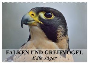 Falken und Greifvögel. Edle Jäger (Wandkalender 2024 DIN A2 quer), CALVENDO Monatskalender von Stanzer,  Elisabeth