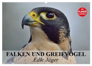 Falken und Greifvögel – Edle Jäger (Wandkalender 2024 DIN A2 quer), CALVENDO Monatskalender von Stanzer,  Elisabeth