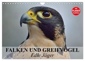 Falken und Greifvögel – Edle Jäger (Wandkalender 2024 DIN A4 quer), CALVENDO Monatskalender von Stanzer,  Elisabeth