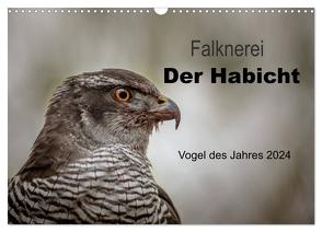 Falknerei Der Habicht (Wandkalender 2024 DIN A3 quer), CALVENDO Monatskalender von Brandt,  Tanja