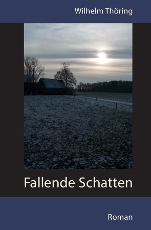 Fallende Schatten Roman von Thöring,  Wilhelm