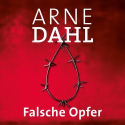 Falsche Opfer (A-Team 3) von Butt,  Wolfgang, Dahl,  Arne, Holdorf,  Jürgen