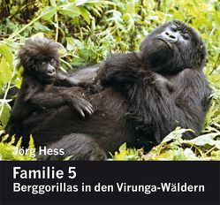 Familie 5, Berggorillas in den Virunga-Wäldern von Hess,  Jörg