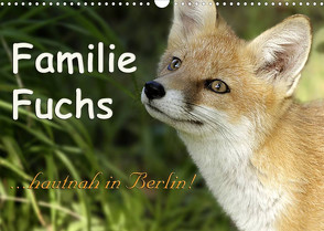 Familie Fuchs hautnah in Berlin (Wandkalender 2022 DIN A3 quer) von Brinker,  Sabine