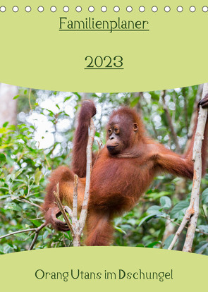 Familienplaner 2023 – Orang Utans im Dschungel (Tischkalender 2023 DIN A5 hoch) von Heiss Photography,  Daniel