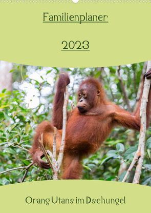 Familienplaner 2023 – Orang Utans im Dschungel (Wandkalender 2023 DIN A2 hoch) von Heiss Photography,  Daniel