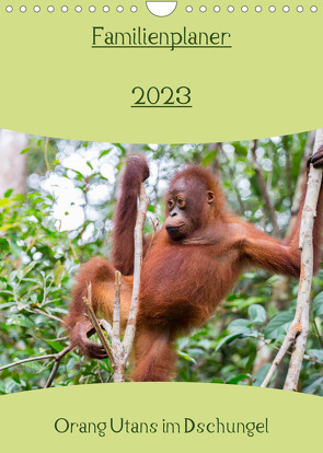 Familienplaner 2023 – Orang Utans im Dschungel (Wandkalender 2023 DIN A4 hoch) von Heiss Photography,  Daniel