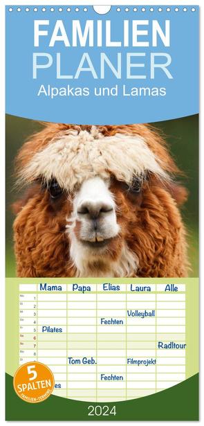 Familienplaner 2024 – Alpakas und Lamas mit 5 Spalten (Wandkalender, 21 x 45 cm) CALVENDO von Stanzer,  Elisabeth