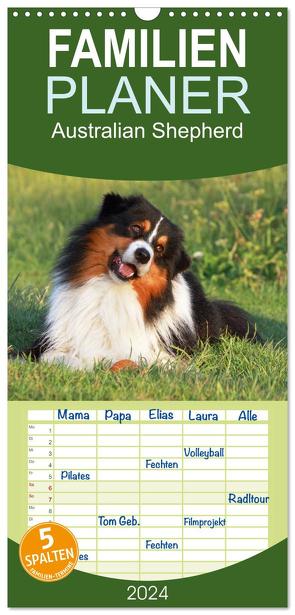 Familienplaner 2024 – Australian Shepherd – Hütehunde mit Familienanschluss mit 5 Spalten (Wandkalender, 21 x 45 cm) CALVENDO von Mielewczyk,  Barbara