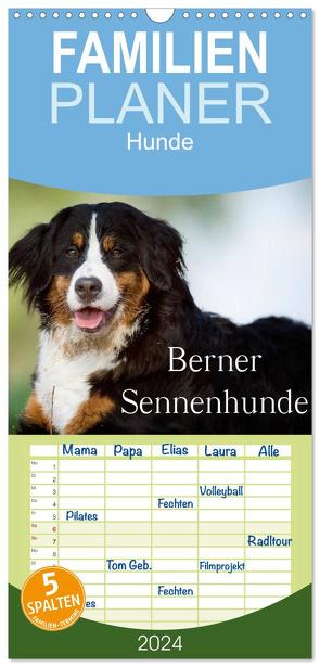 Familienplaner 2024 – Berner Sennenhunde mit 5 Spalten (Wandkalender, 21 x 45 cm) CALVENDO von Noack,  Nicole