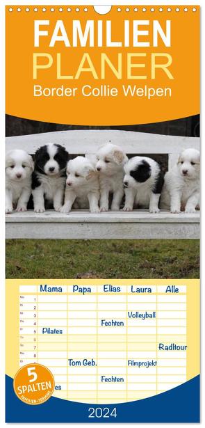 Familienplaner 2024 – Border Collie Welpen mit 5 Spalten (Wandkalender, 21 x 45 cm) CALVENDO von Lindert-Rottke,  Antje