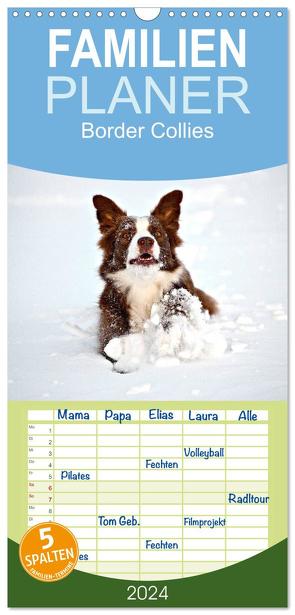 Familienplaner 2024 – Border Collies mit 5 Spalten (Wandkalender, 21 x 45 cm) CALVENDO von Greiling,  Hermann