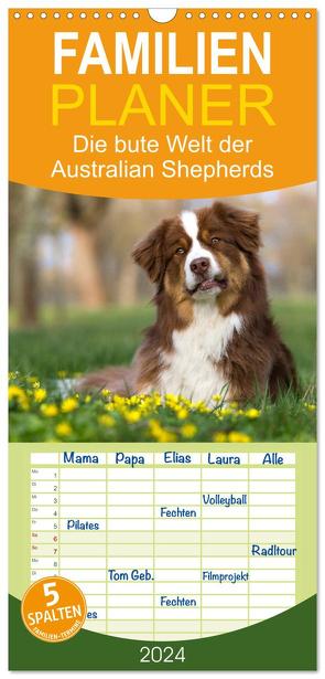 Familienplaner 2024 – DIE BUNTE WELT DER AUSTRALIAN SHEPHERDS mit 5 Spalten (Wandkalender, 21 x 45 cm) CALVENDO von Mirsberger tierpfoto,  Annett