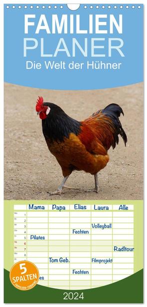 Familienplaner 2024 – Die Welt der Hühner mit 5 Spalten (Wandkalender, 21 x 45 cm) CALVENDO von Kattobello,  Kattobello