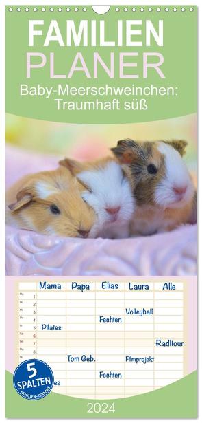 Familienplaner 2024 – Familienplaner BABY Meerschweinchen Traumhaft süß mit 5 Spalten (Wandkalender, 21 x 45 cm) CALVENDO von Hampe-Neves,  Sabine