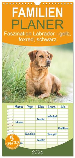 Familienplaner 2024 – Faszination Labrador – gelb, foxred, schwarz mit 5 Spalten (Wandkalender, 21 x 45 cm) CALVENDO von Strunz,  Cornelia