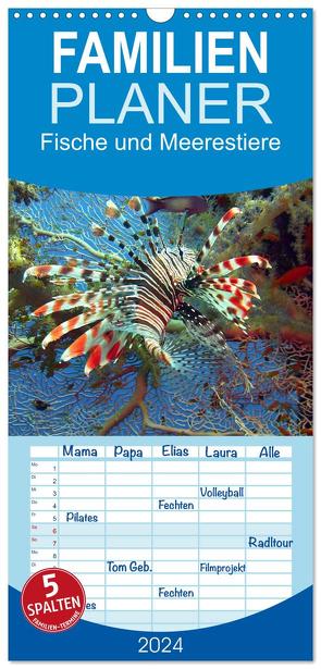 Familienplaner 2024 – Fische und Meerestiere mit 5 Spalten (Wandkalender, 21 x 45 cm) CALVENDO von Stanzer,  Elisabeth