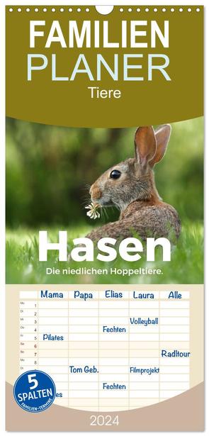 Familienplaner 2024 – Hasen – Die niedlichen Hoppeltiere. mit 5 Spalten (Wandkalender, 21 x 45 cm) CALVENDO von Scott,  M.