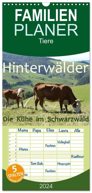 Familienplaner 2024 – Hinterwälder – Die Kühe aus dem Schwarzwald mit 5 Spalten (Wandkalender, 21 x 45 cm) CALVENDO von Goldscheider,  Stefanie