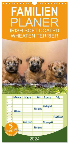 Familienplaner 2024 – IRISH SOFT COATED WHEATEN TERRIER mit 5 Spalten (Wandkalender, 21 x 45 cm) CALVENDO von Mirsberger www.tierpfoto.de,  Annett