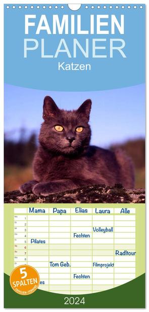 Familienplaner 2024 – Katzen mit 5 Spalten (Wandkalender, 21 x 45 cm) CALVENDO von / Werner Layer,  McPHOTO