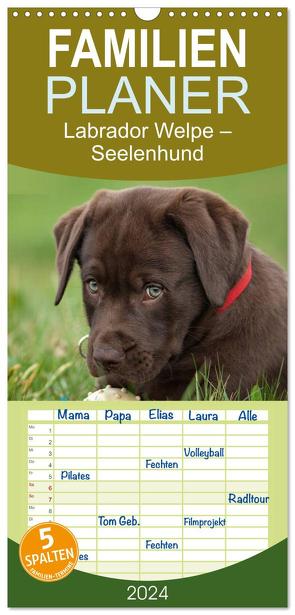 Familienplaner 2024 – Labrador Welpe – Seelenhund mit 5 Spalten (Wandkalender, 21 x 45 cm) CALVENDO von Schiller,  Petra