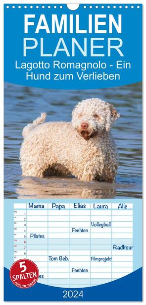 Familienplaner 2024 – Lagotto Romagnolo – Ein Hund zum Verlieben mit 5 Spalten (Wandkalender, 21 x 45 cm) CALVENDO